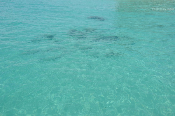 马尔代夫旅游攻略图片 马尔代夫旅游攻略图片