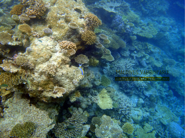 马尔代夫景点图片 马尔代夫景点图片