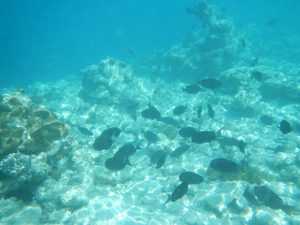 马尔代夫景点图片 马尔代夫景点图片