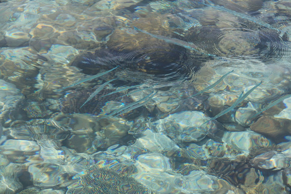 马尔代夫自助游图片 马尔代夫自助游图片