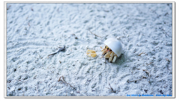 卡努呼拉岛自助游图片