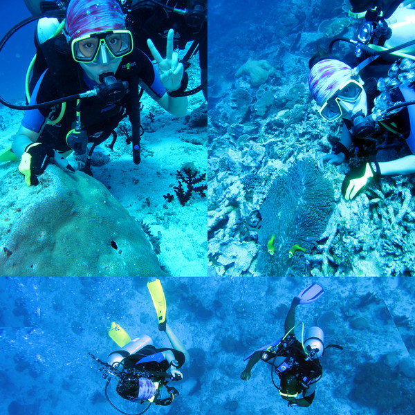 马尔代夫自助游图片