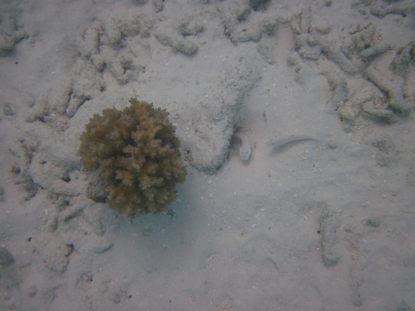 马尔代夫图片 马尔代夫图片