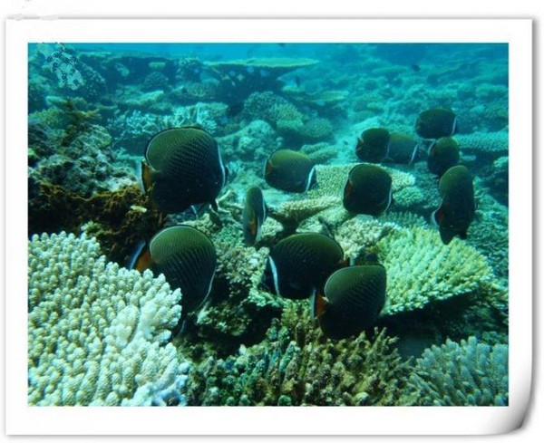 马尔代夫旅游攻略图片