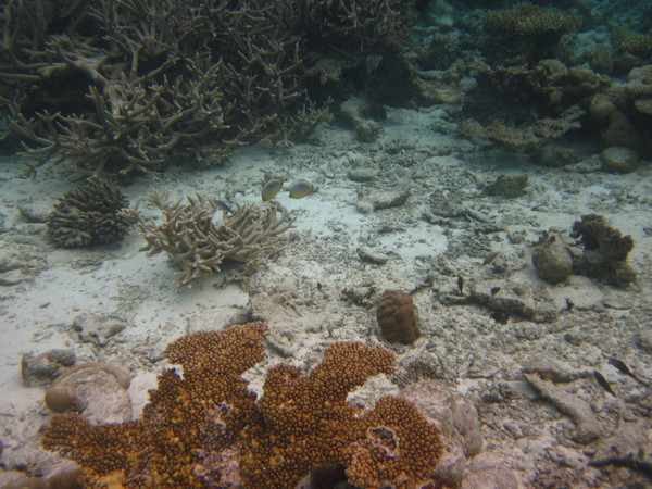 马尔代夫景点图片 马尔代夫景点图片