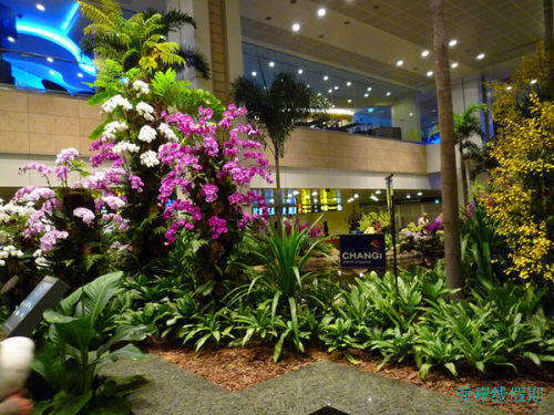 马代归来不看海——马代香格里拉浪漫游记（大量美图）1,马尔代夫游记，海岸线假期