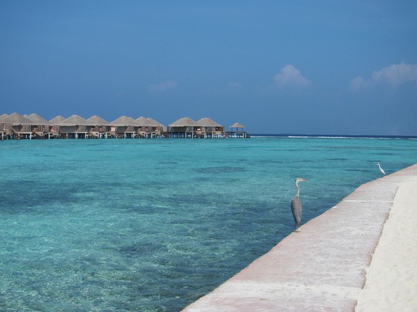 马尔代夫旅游攻略图片