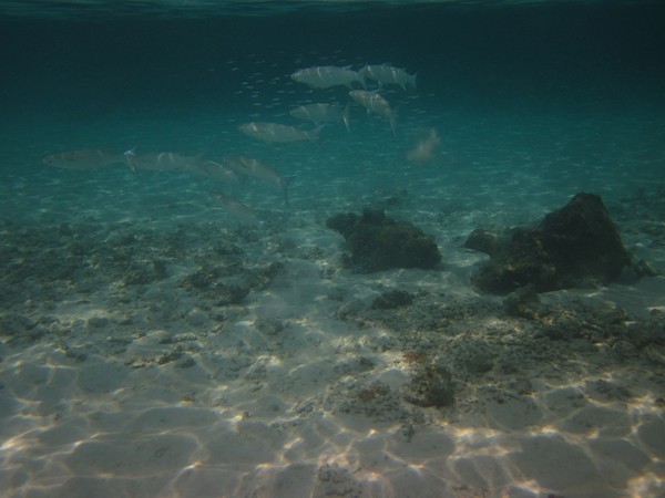 马尔代夫自助游图片 马尔代夫自助游图片