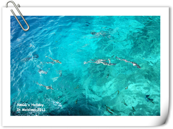 马尔代夫旅游攻略图片 马尔代夫旅游攻略图片