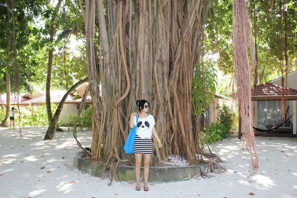 马尔代夫自助游图片