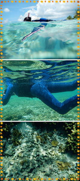 薇拉瓦鲁岛图片