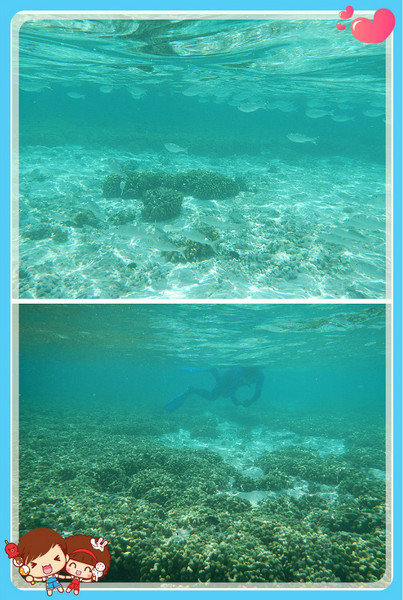 薇拉瓦鲁岛自助游图片