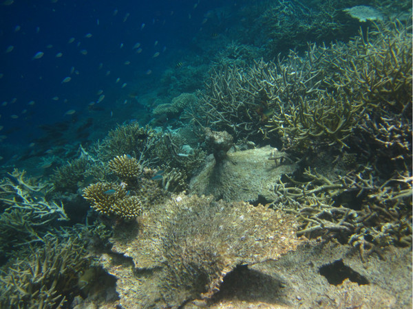 阿雅达旅游攻略图片