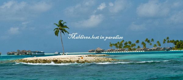 马尔代夫自助游图片