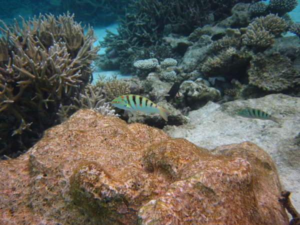 马尔代夫图片 马尔代夫图片