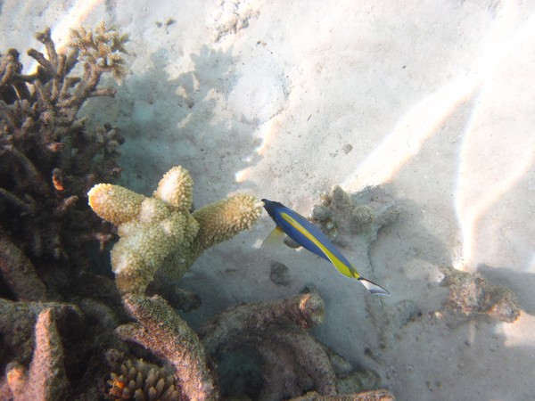 马尔代夫景点图片 马尔代夫景点图片