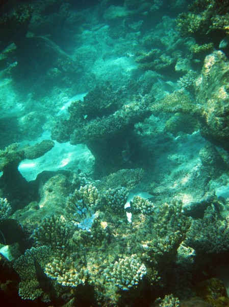 马尔代夫自助游图片