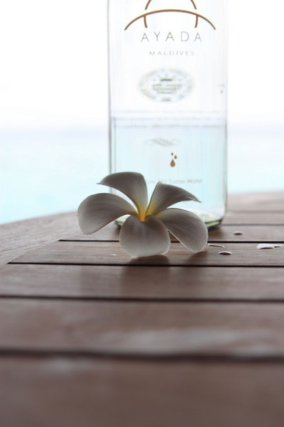 马尔代夫旅游攻略图片 马尔代夫旅游攻略图片