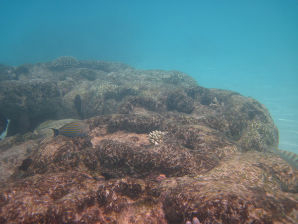 马尔代夫图片 马尔代夫图片