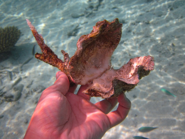 马尔代夫自助游图片 马尔代夫自助游图片