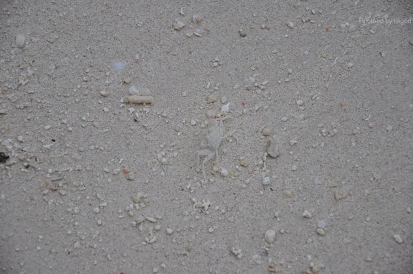 马尔代夫自助游图片 马尔代夫自助游图片