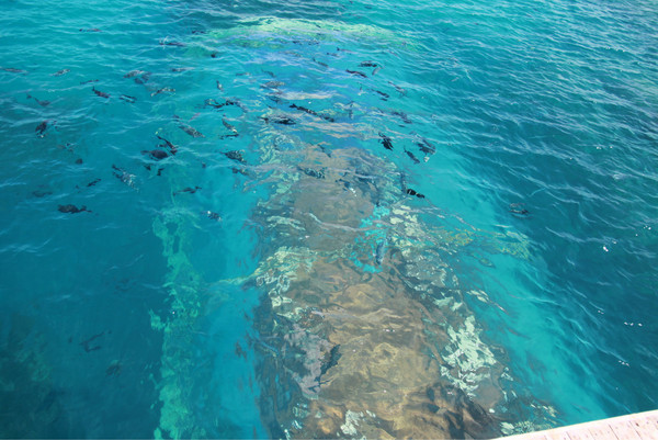 马尔代夫旅游攻略图片