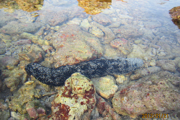 马尔代夫旅游攻略图片