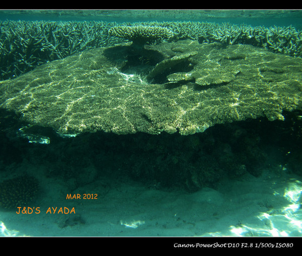 马尔代夫旅游攻略图片