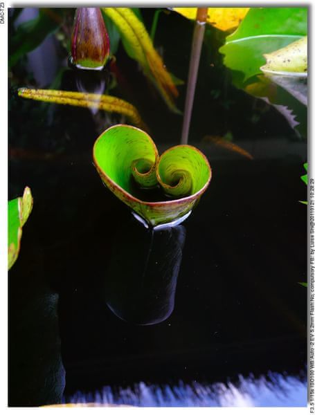 马尔代夫自助游图片