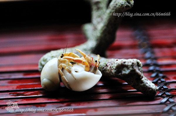 马尔代夫景点图片