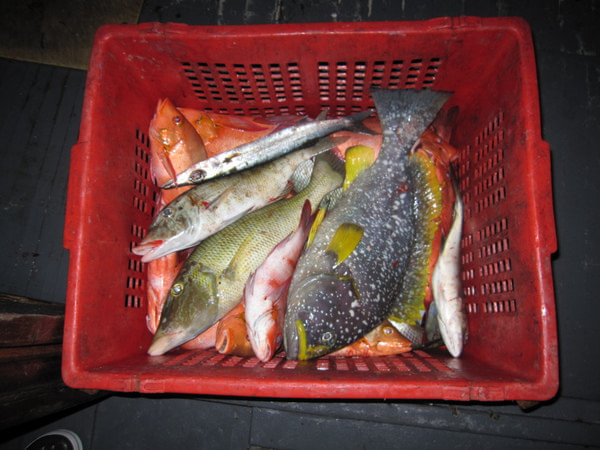 马尔代夫图片 马尔代夫图片