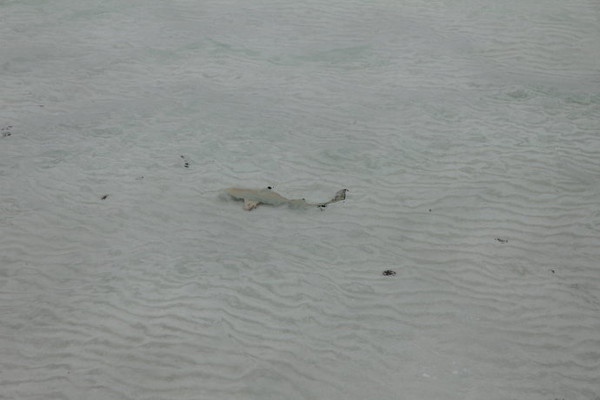 安娜塔拉岛旅游攻略图片