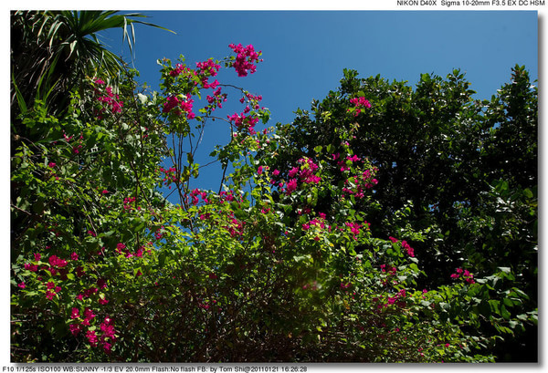 马尔代夫景点图片