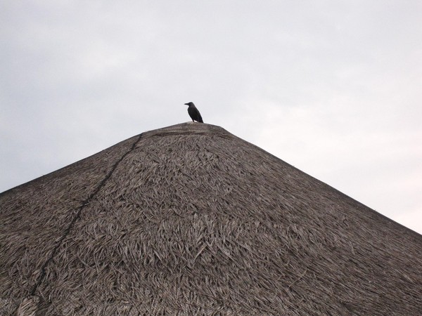 马尔代夫图片 马尔代夫图片