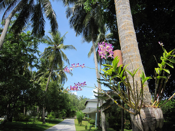 马尔代夫景点图片