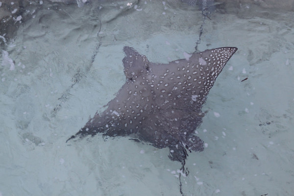 马尔代夫图片 马尔代夫图片