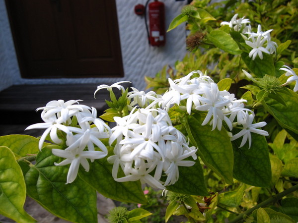 马尔代夫自助游图片