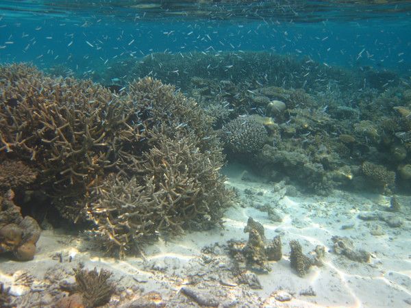 马尔代夫自助游图片 马尔代夫自助游图片