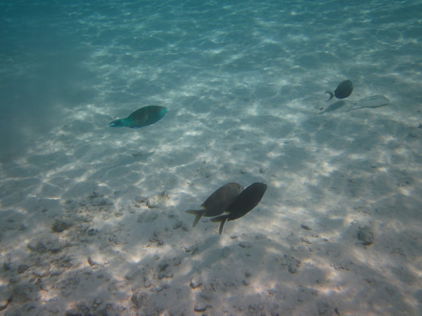 马尔代夫景点图片 马尔代夫景点图片