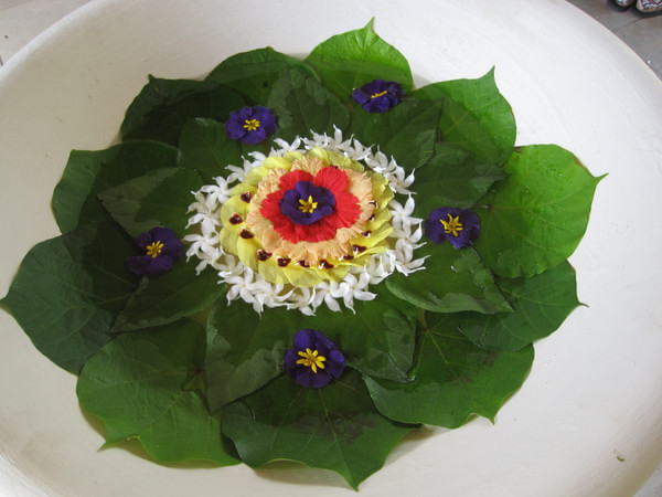 马尔代夫旅游攻略图片 马尔代夫旅游攻略图片