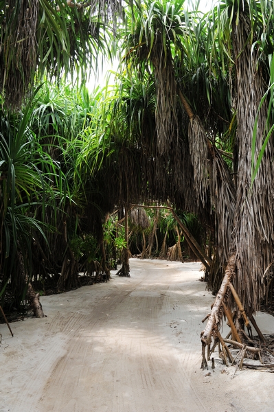 马尔代夫旅游攻略图片