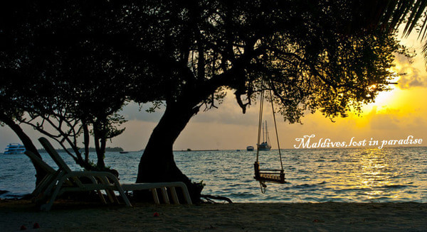 马尔代夫图片