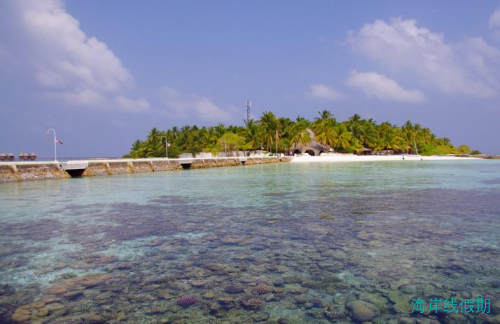 新加坡&马代Nika蜜月之旅-可能是最详细的马代尼卡攻略,马尔代夫游记，海岸线假期