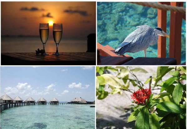 马尔代夫旅游攻略图片 马尔代夫旅游攻略图片