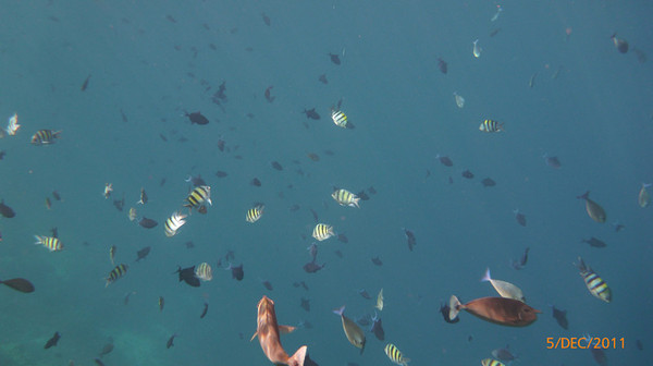 马尔代夫旅游攻略图片