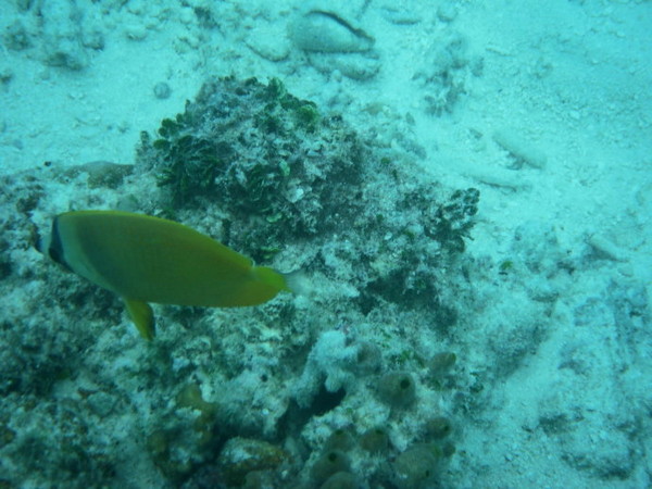 安娜塔拉岛旅游攻略图片