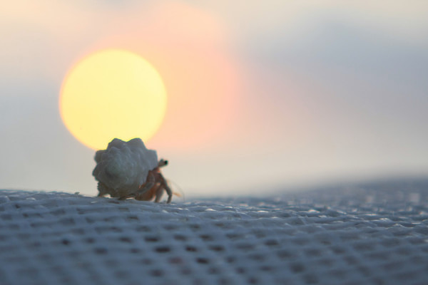 马尔代夫旅游攻略图片 马尔代夫旅游攻略图片