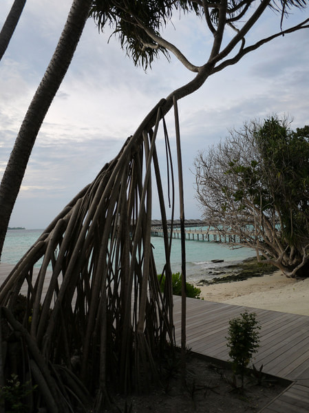 马尔代夫图片 马尔代夫图片