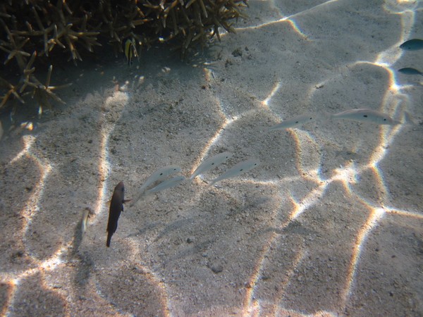 马尔代夫景点图片 马尔代夫景点图片