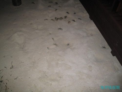 5.22马代蜜月游记攻略之FULL MOON,马尔代夫游记，海岸线假期